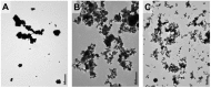 Fig. 1. Fig. 1.